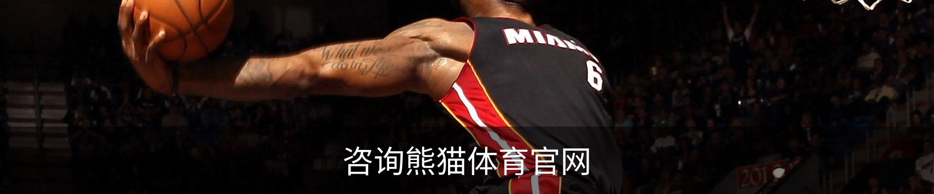 咨询熊猫体育官网