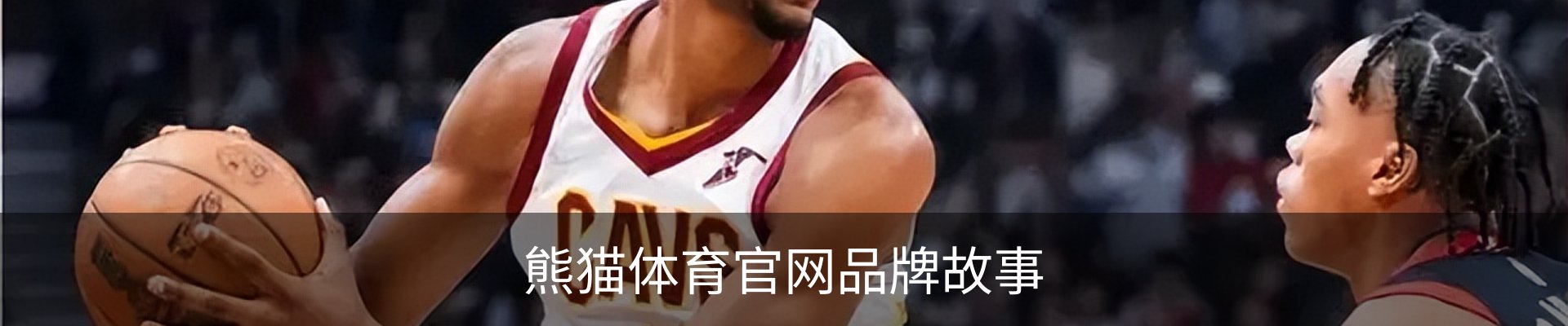 熊猫体育官网品牌故事